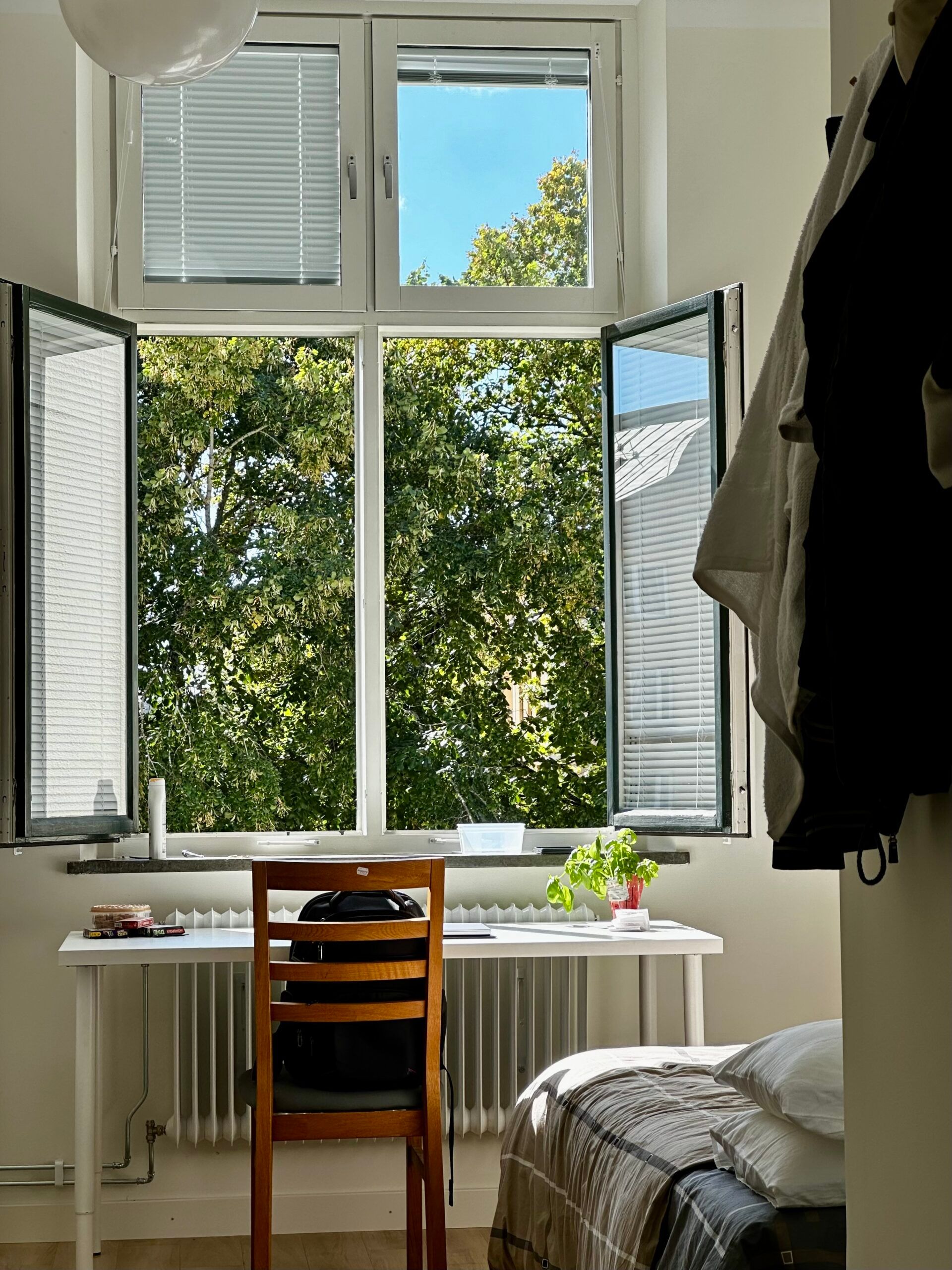 a student apartment with the windows open during summer