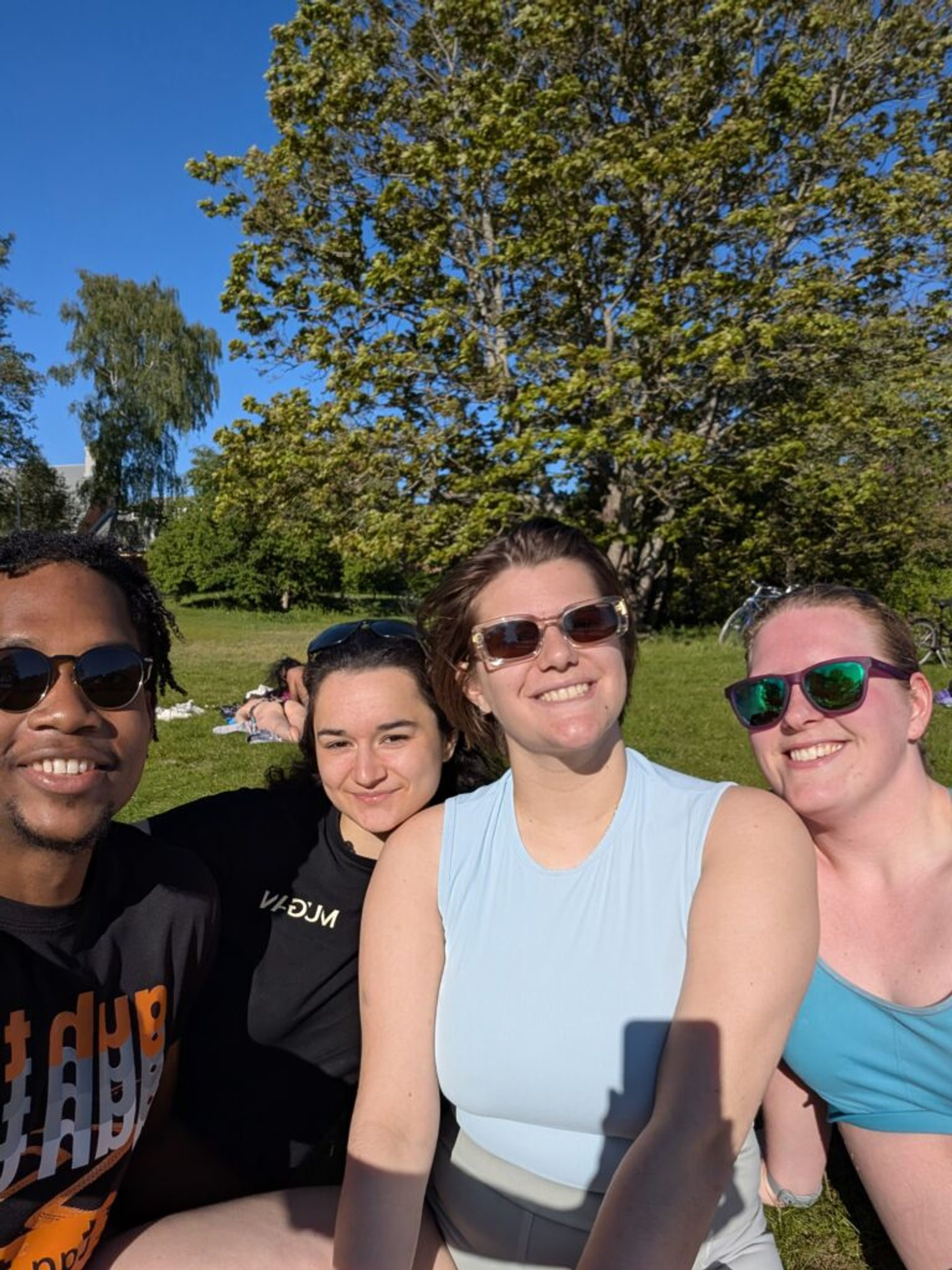 4 friends taking a selfie on the grass in the sun after jumping into a Swedish lake.