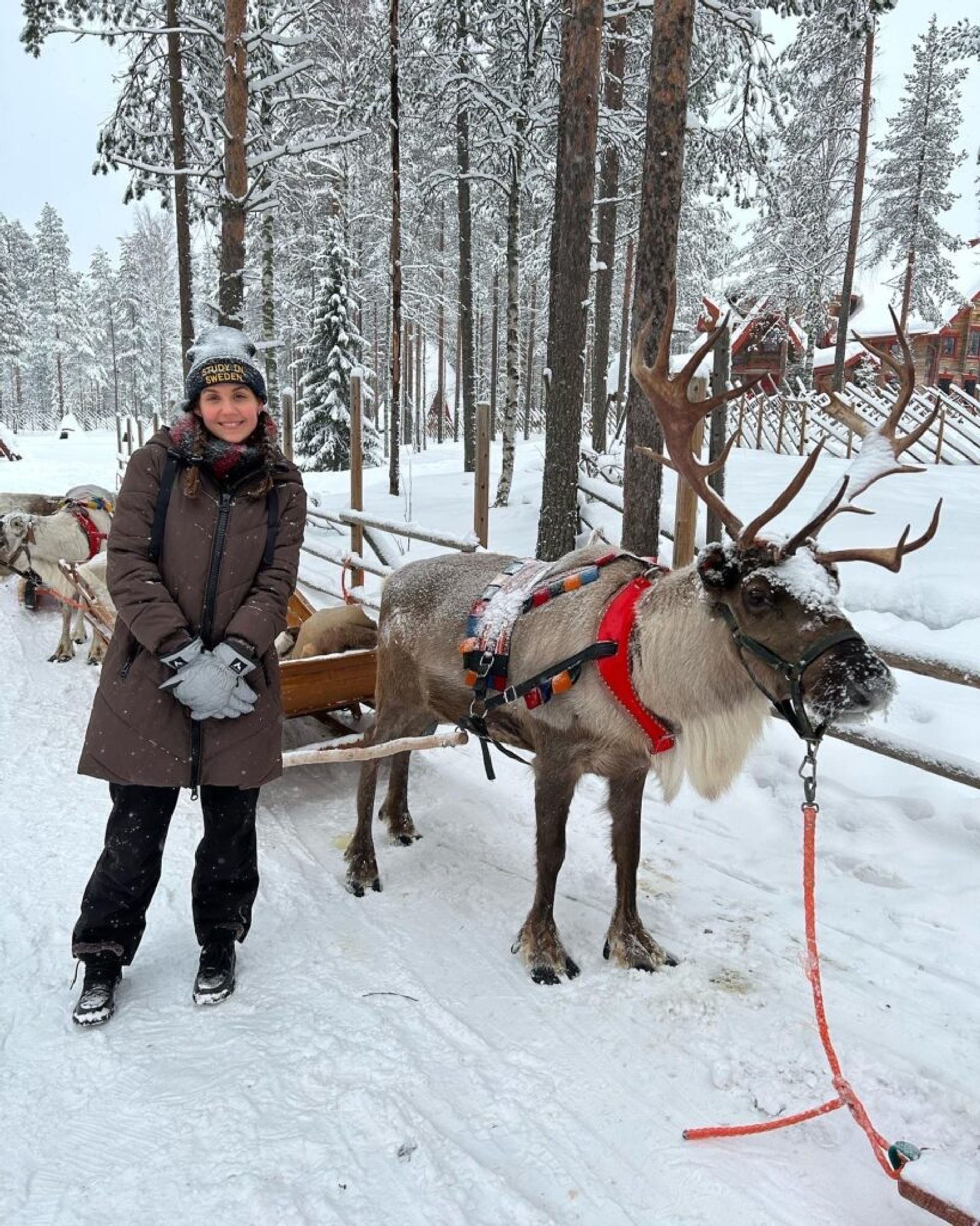 A girl and a reindeer