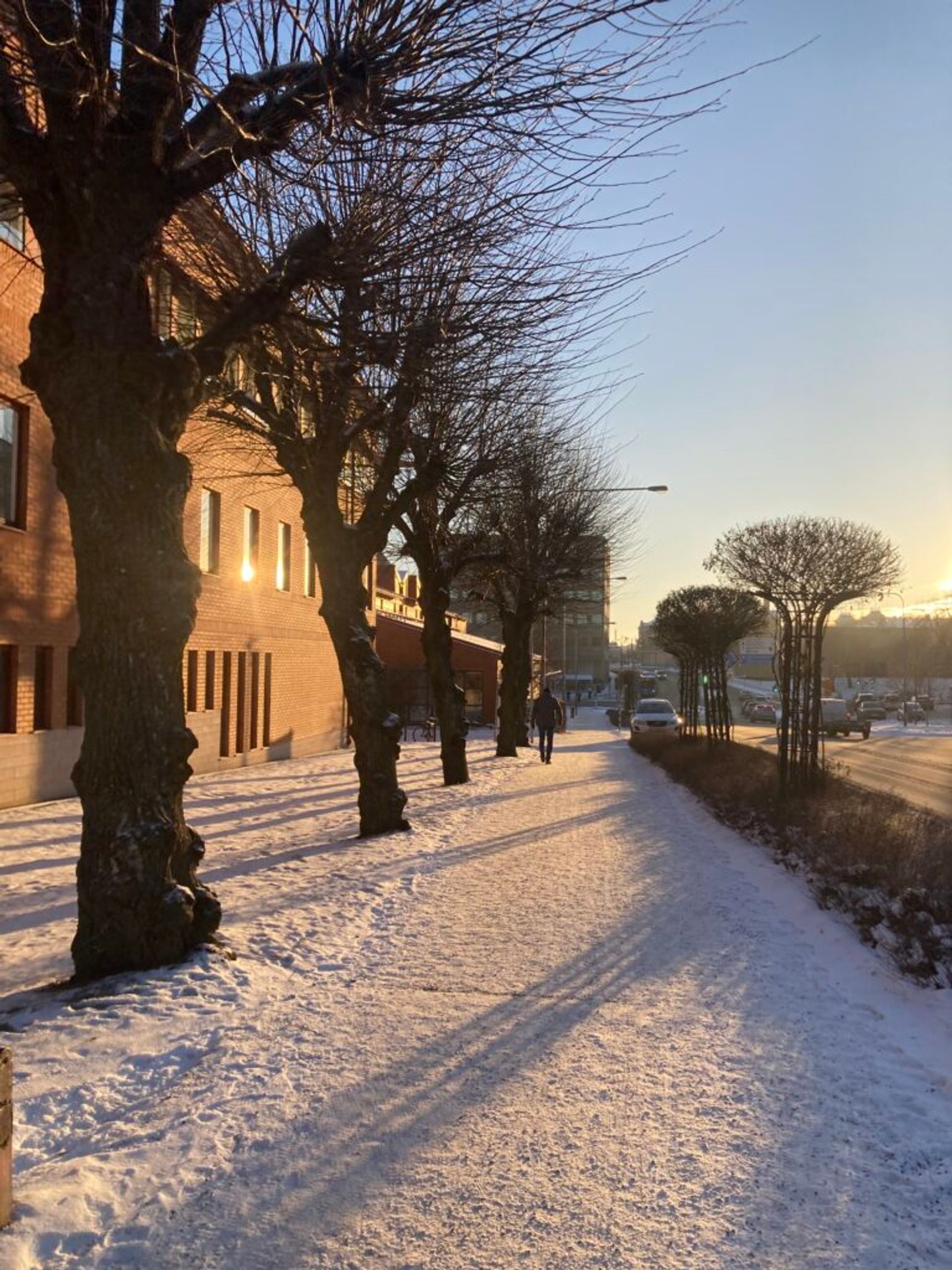 Snow-covered street