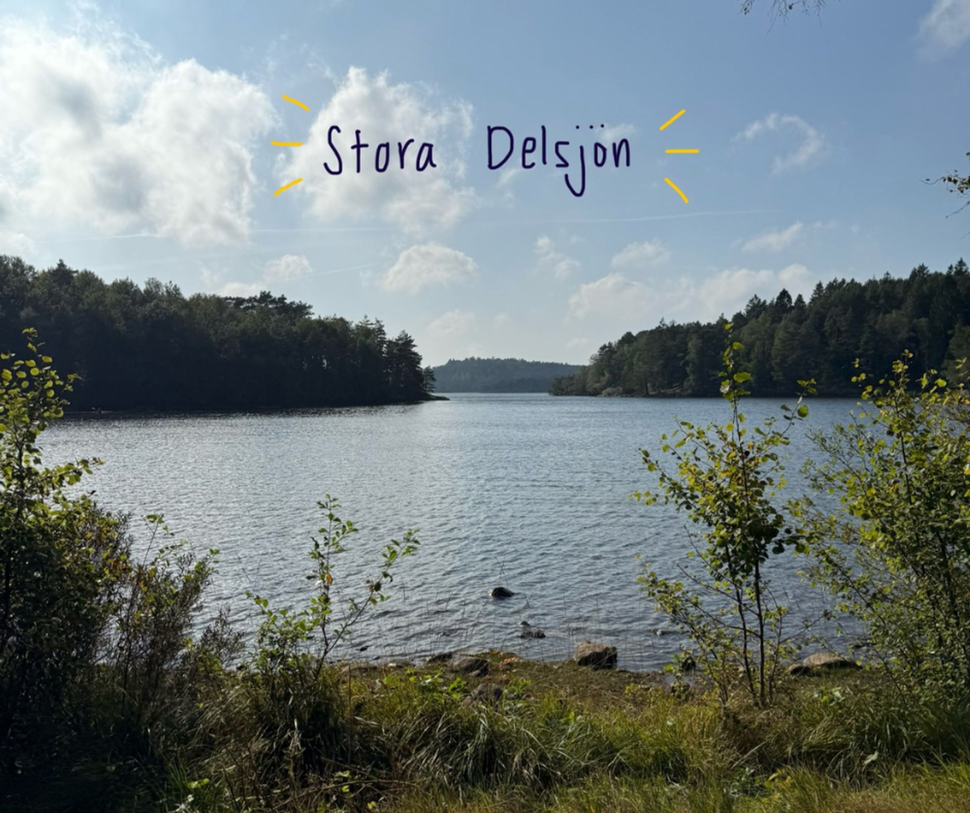 A photo of a lake and surrounding trees and greenery. Handwritten text that reads Stora Delsjön, the name of the lake.
