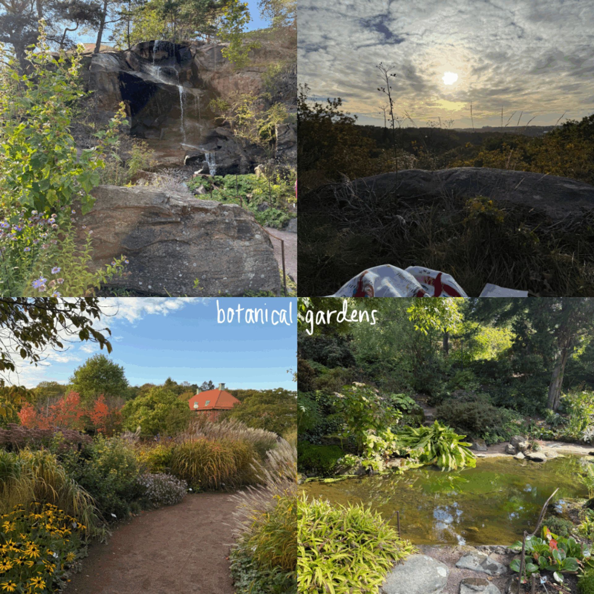 Four photos at Gothenburg Botantical Garden: A waterful in teh rock garden, a picture of the sky from a rocky overlook, plants and a path, and a pond and plants in the rock garden.