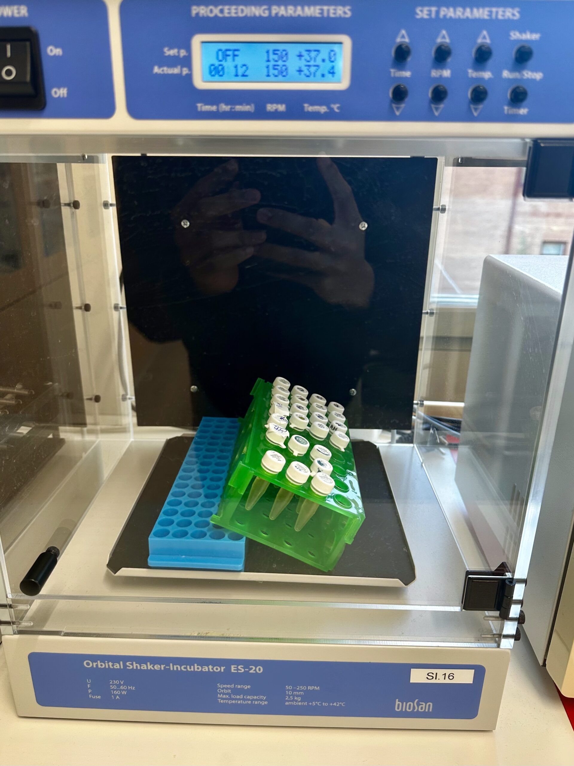 A shaking incubator with multiple tubes of bacteria inside