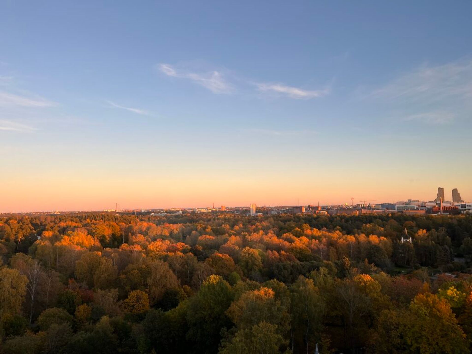A picture taken from a higher view point, showing golden hour over a big park in front of the city Stockholm.
