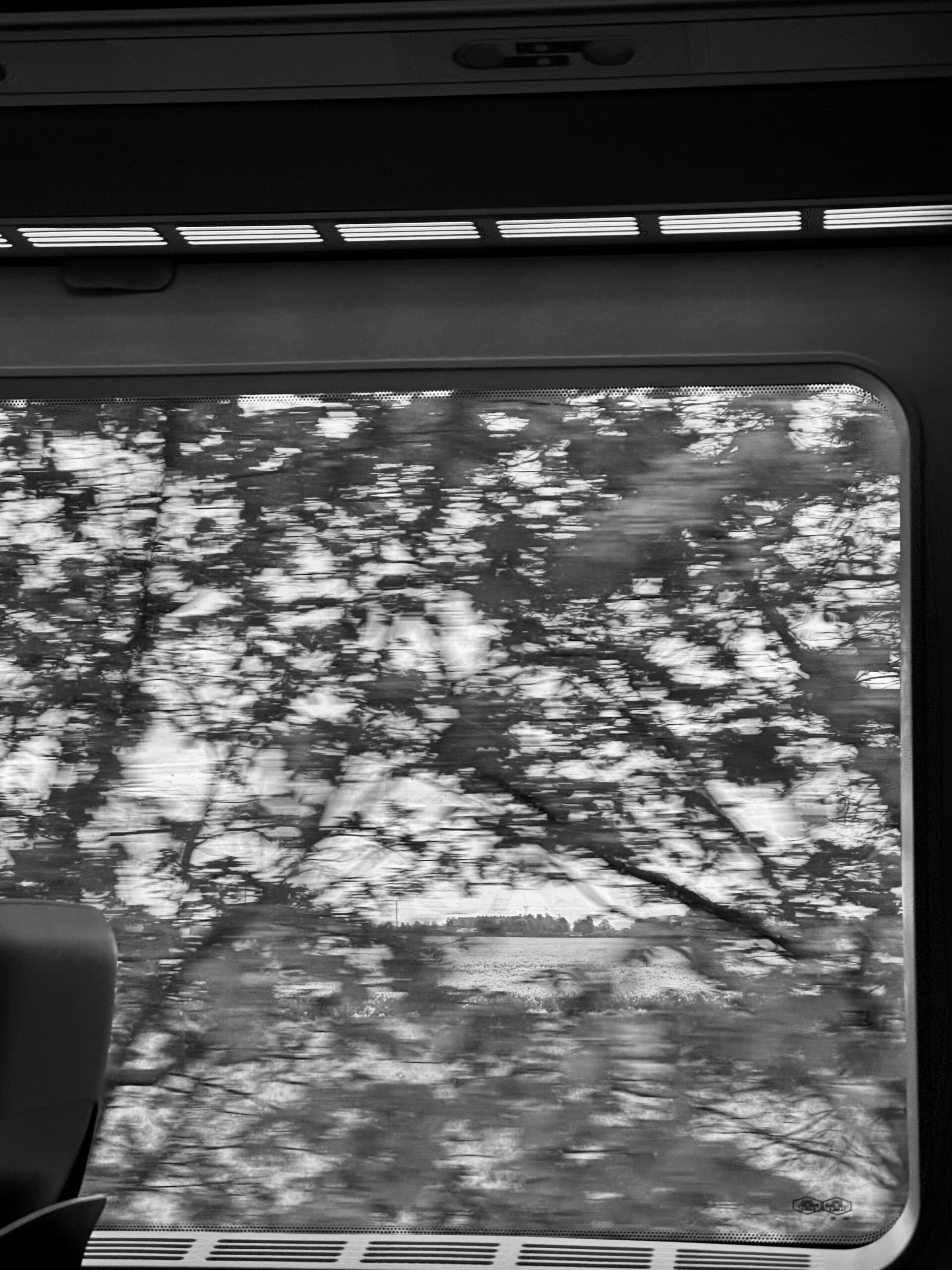 A black and white photo of a window-view from a moving train