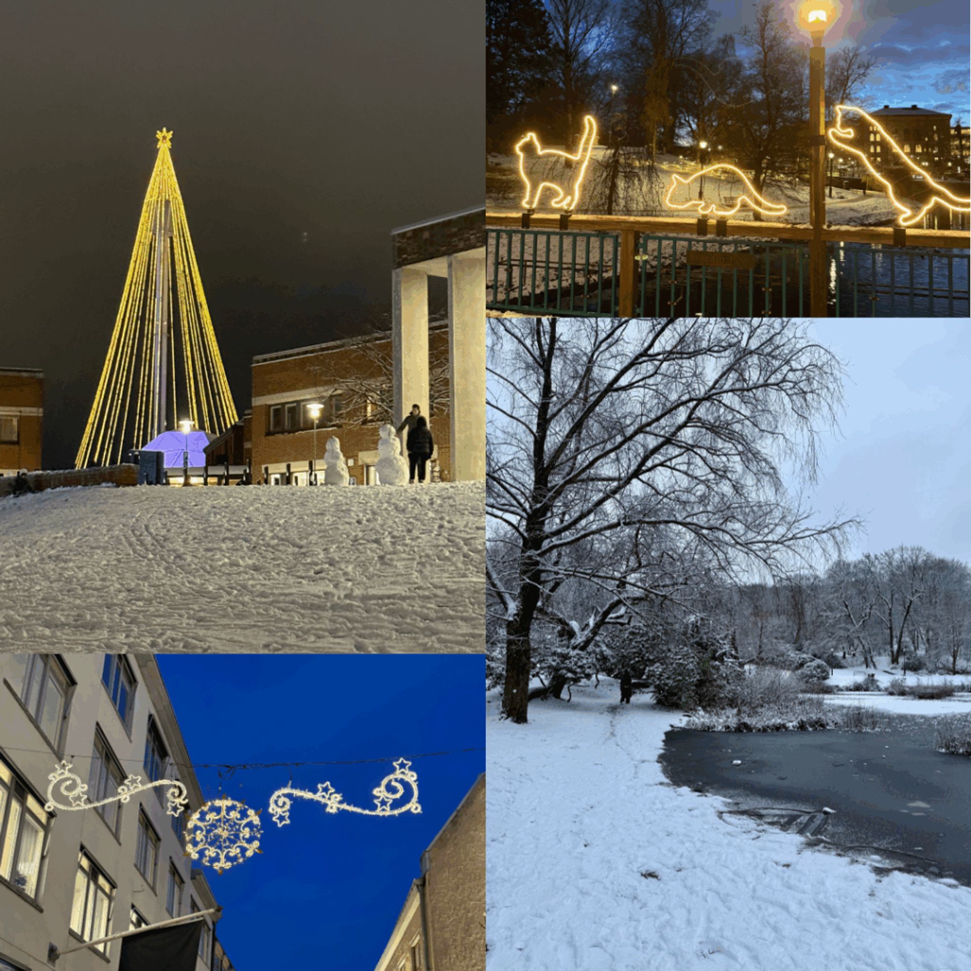 Photos of Christmas light displays-- the huge Christmas tree at Liseberg, cats on a bridge, and a wreath between buildings. Also a photo of the snow, trees, and a frozen over lake. 