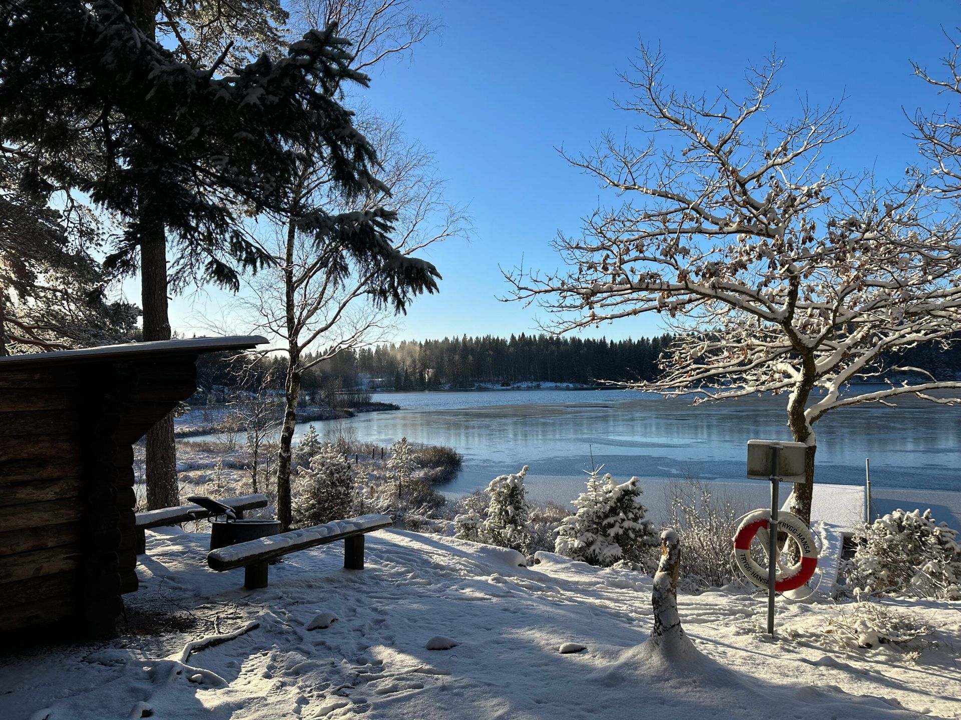 outdoors in snowy nature with a frozen lake in the back