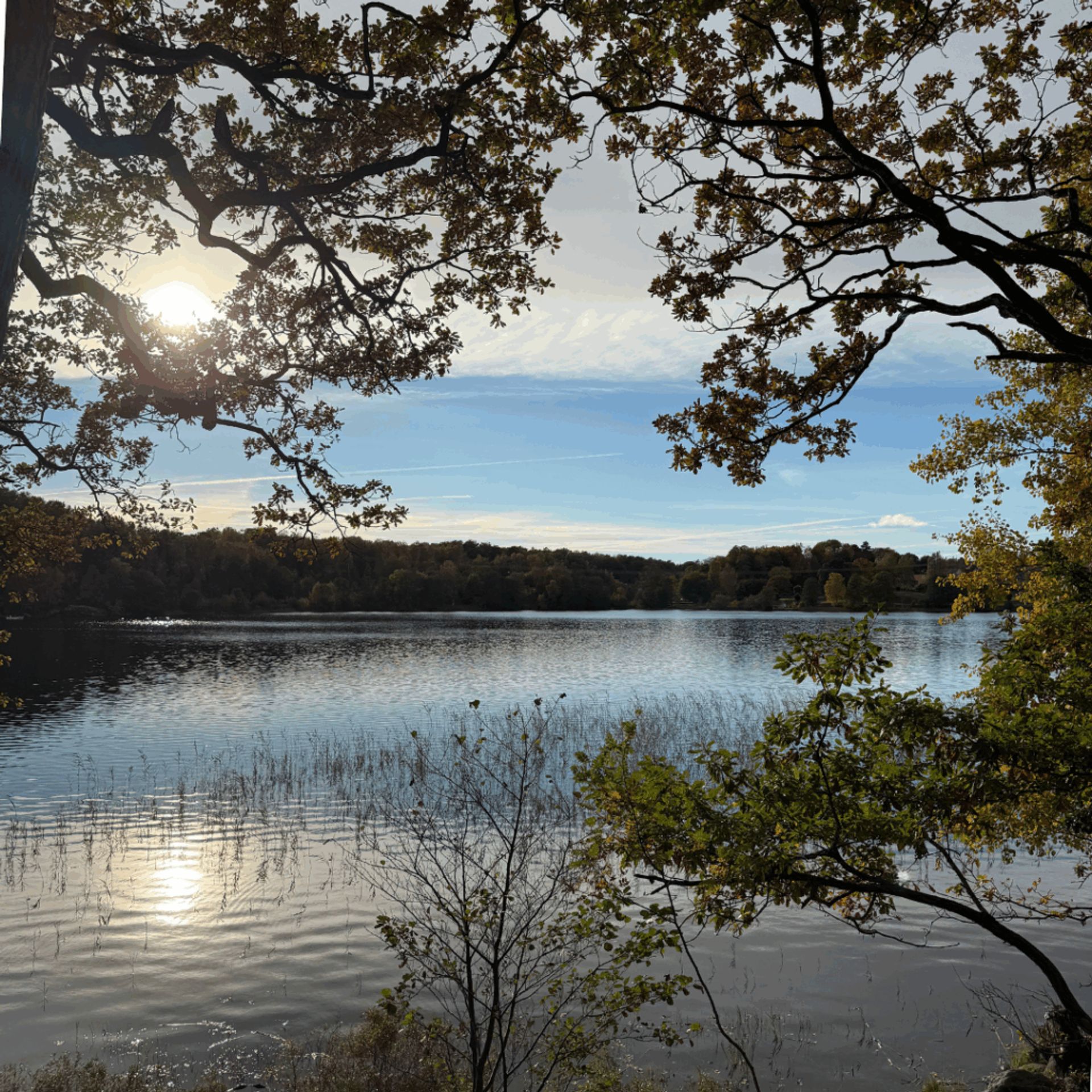 A photo of a lake, blue sky, the sun, and trees near Gunnebo Slott