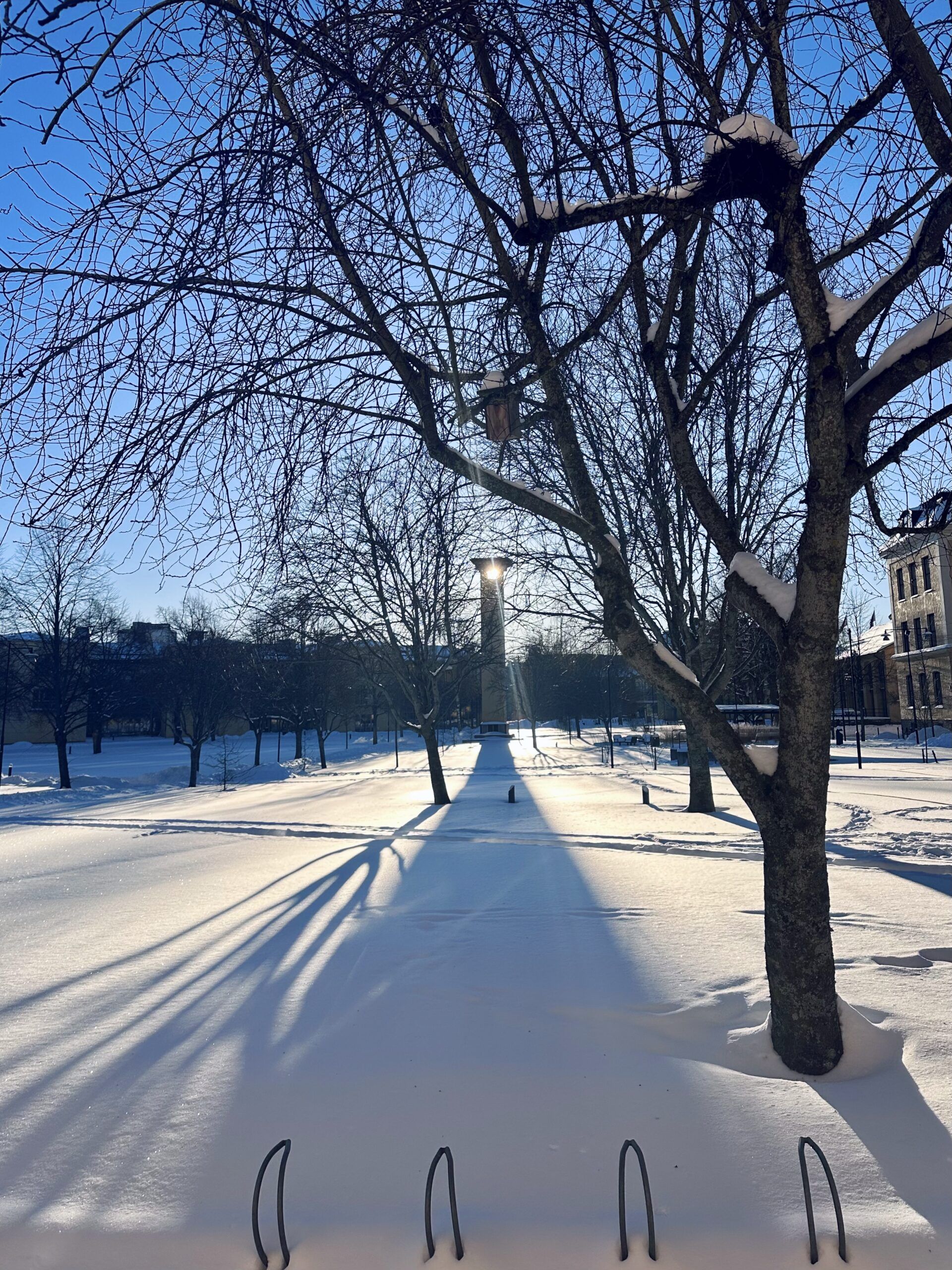 A snow covered shot of university grounds